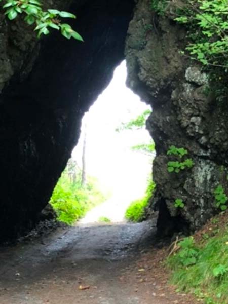 トトロ穴アップ