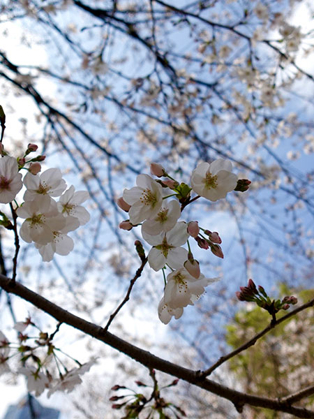 写真6