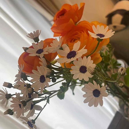 ラナンキュラスと白い花