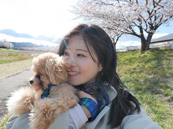 写真