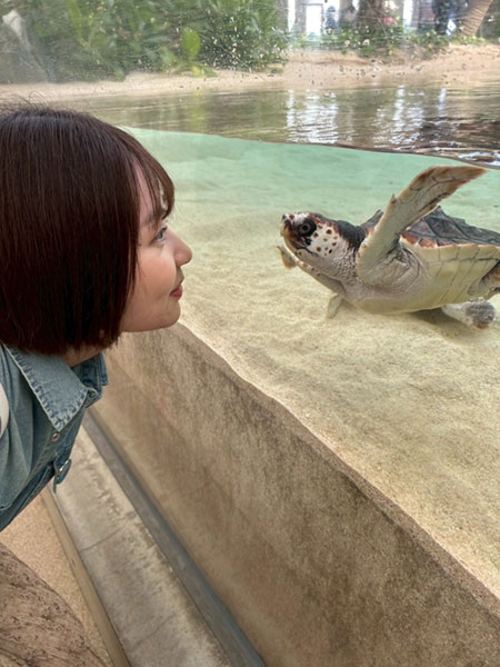 写真6アカウミガメその1