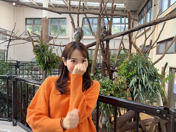 写真5