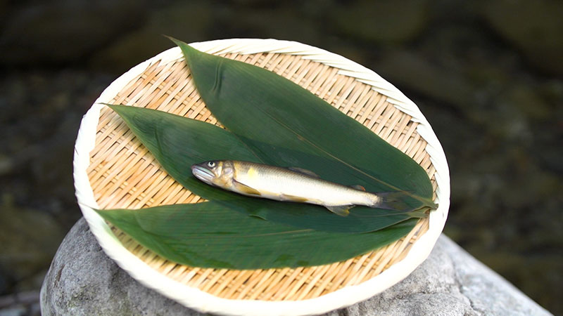 2021年7月29日