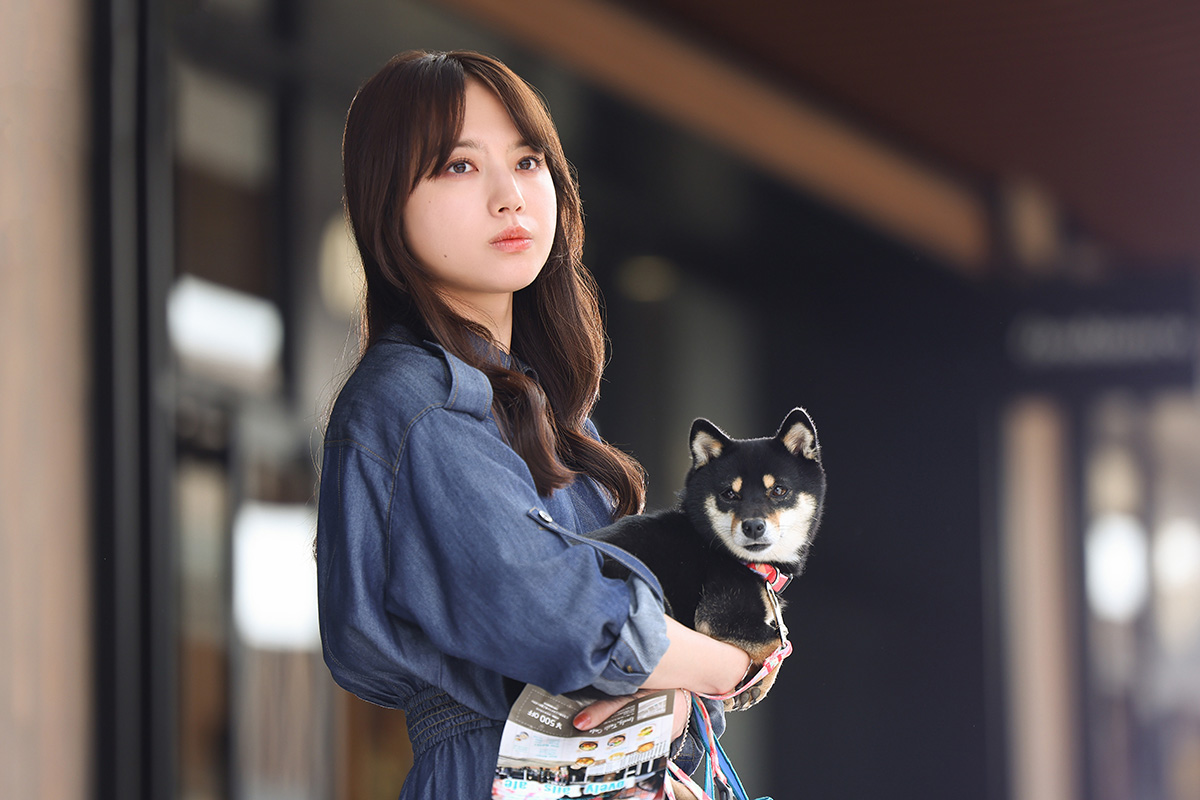 写真