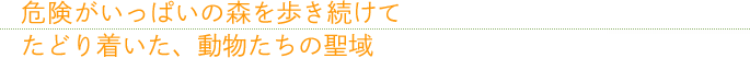 危険がいっぱいの森を歩き続けてたどり着いた、動物たちの聖域
