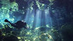 特集「カリブ海の世界遺産」