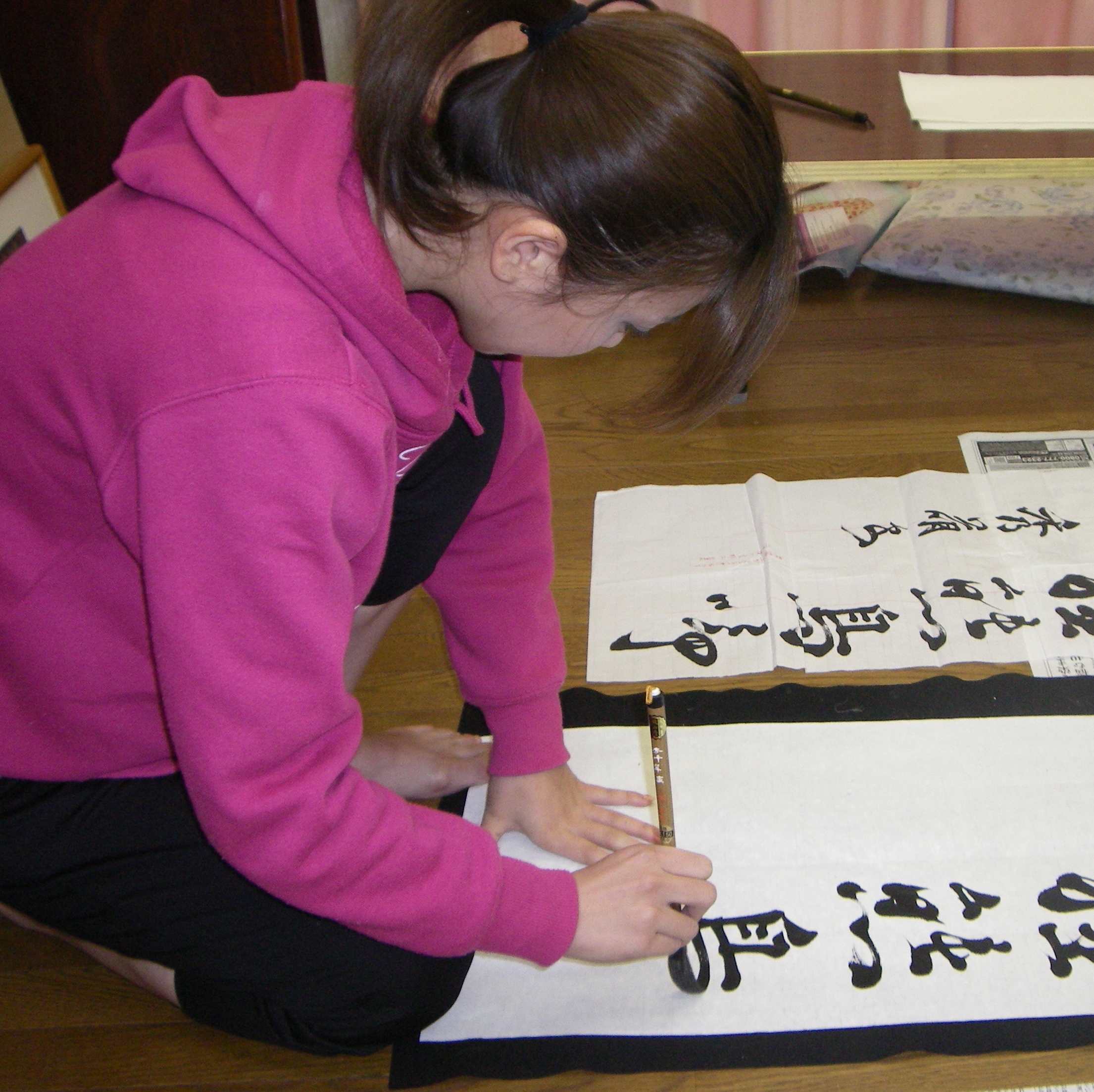 $B!V6b;R%-%c%9%?!<$N%R%H%j%4%H!W$N2hA|(B1