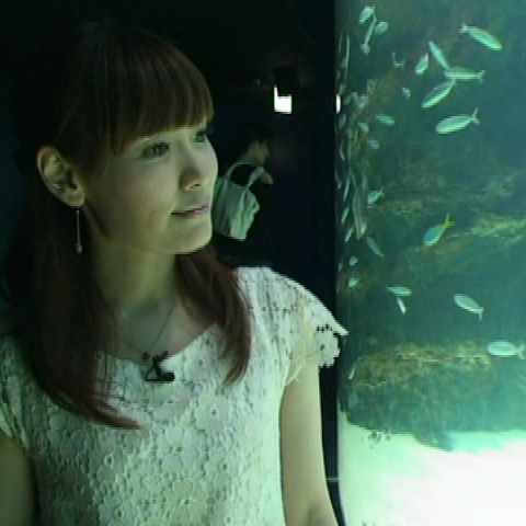 $B!V]pM[%-%c%9%?!<$N%R%H%j%4%H!W$N2hA|(B1