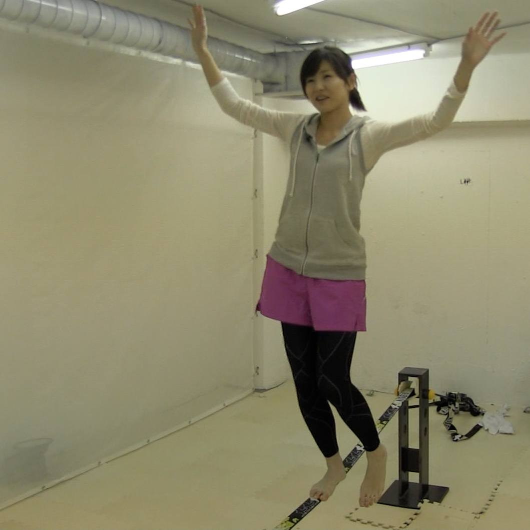 $B!VJ,NS%-%c%9%?!<$N%R%H%j%4%H!W$N2hA|(B1