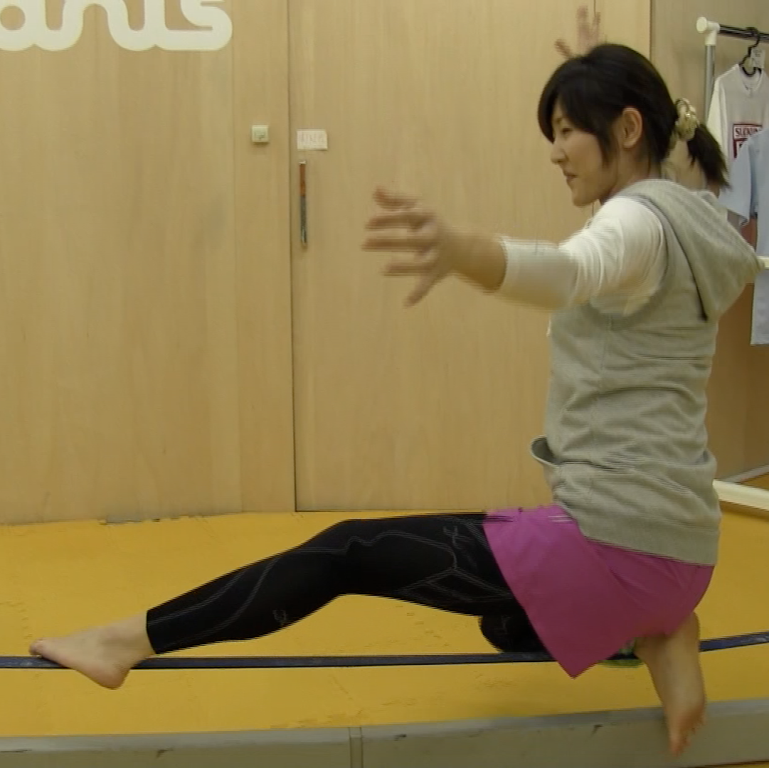 $B!VJ,NS%-%c%9%?!<$N%R%H%j%4%H!W$N2hA|(B2