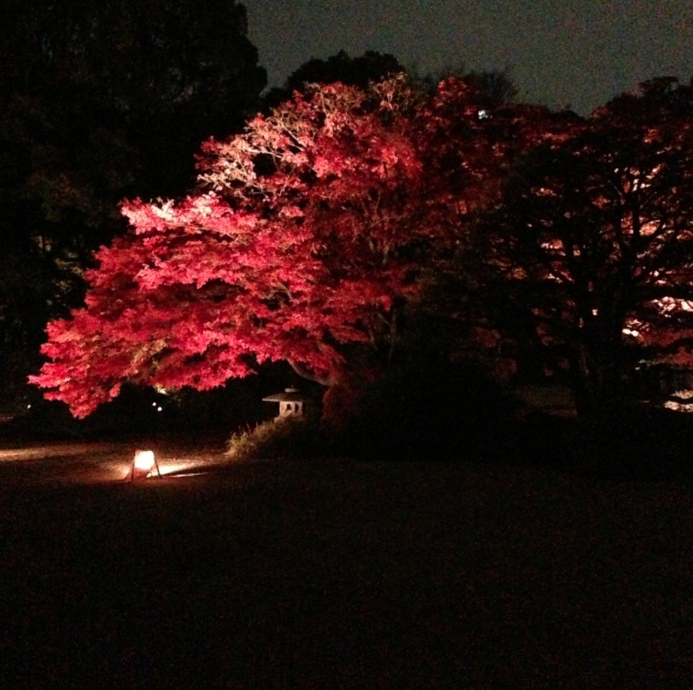 $B!V;01:%-%c%9%?!<$N%R%H%j%4%H!W$N2hA|(B2