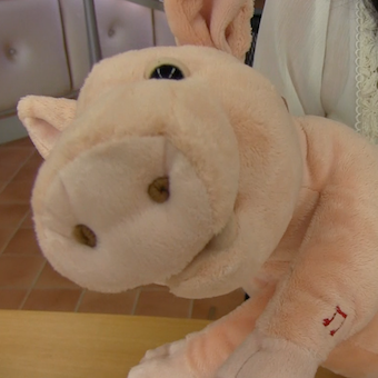 $B!V>eLn%-%c%9%?!<$N%R%H%j%4%H!W$N2hA|(B2