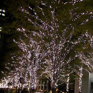 $B!V3QED%-%c%9%?!<$N%R%H%j%4%H!W$N2hA|(B1