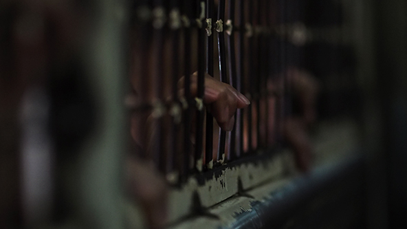 この記事の写真