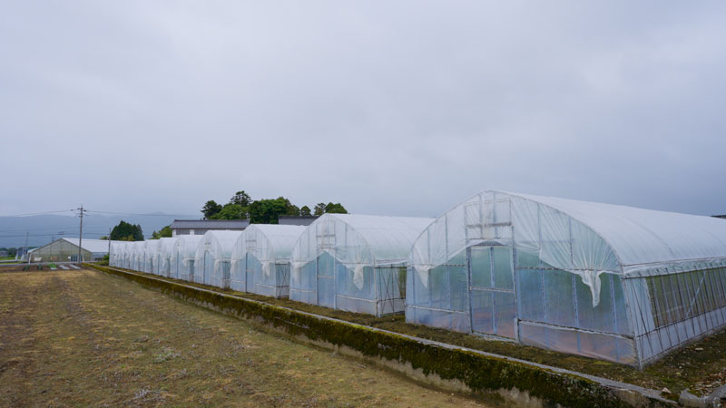 富山・朝日町  「人との縁を結ぶ！アスパラガス」※人生最高の一品