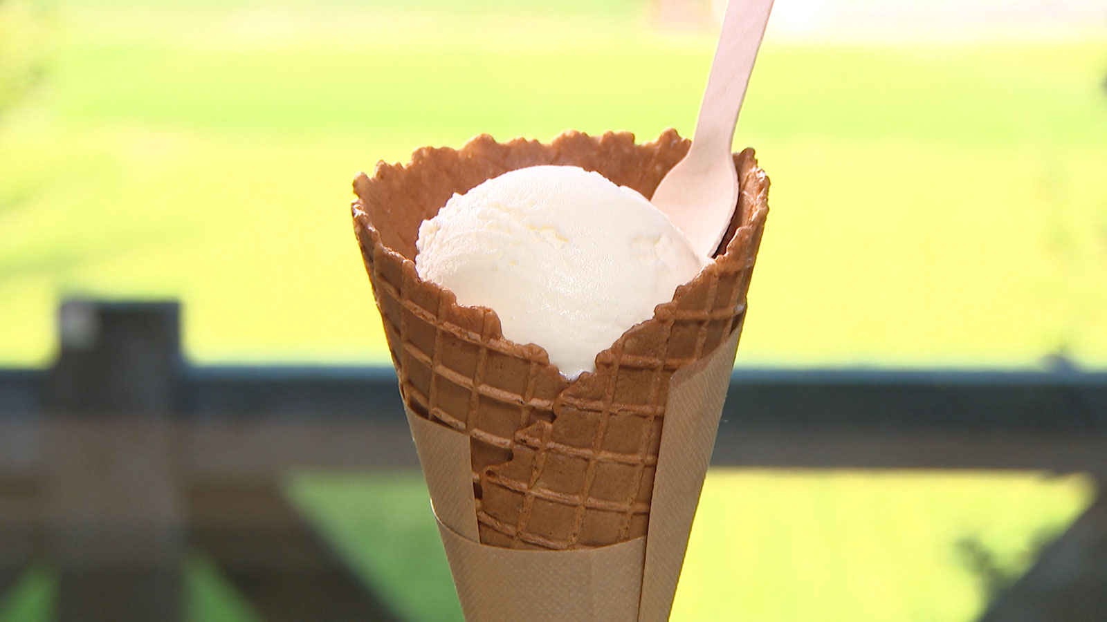 ジャージー牛×琴引浜！自然を感じて濃厚塩ジェラート！