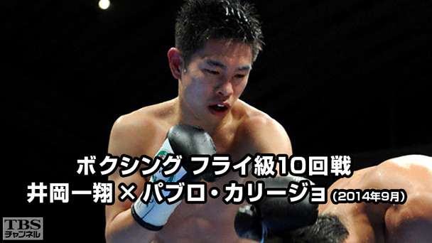 ボクシング フライ級10回戦 井岡一翔×パブロ・カリージョ(2014年9月)